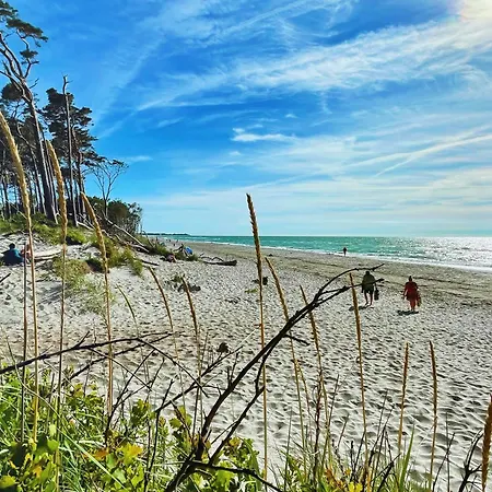 Lejlighed Maedesuess 02 *