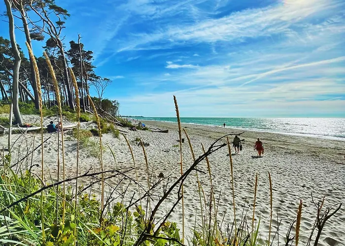 Lejlighed Maedesuess 02 *